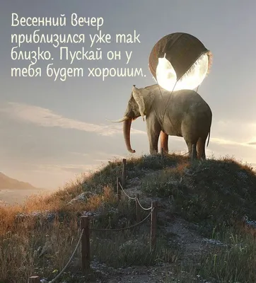 Весенний вечер - фото и картинки: 63 штук