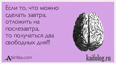 Веселые картинки, анекдоты - 1! - Страница 11 - Официальный Лада Гранта  Клуб | LADA Granta Club
