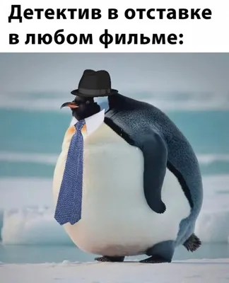 Веселые картинки для поднятия настроения