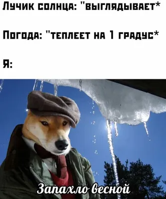 Отвлекись и улыбнись: самые весёлые картинки для поднятия настроения |  Хороший вкус | Дзен