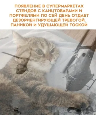 Прикольные картинки для поднятия настроения (254 шт.)