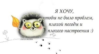 Смешные картинки с надписями для поднятия настроения (370 шт.)