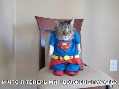 Картинки с приколами для поднятия настроения для женщин (46 фото) » Юмор,  позитив и много смешных картинок