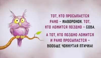 Веселые картинки для поднятия настроения - Смехотерапия - 25 августа -  43146771039 - Медиаплатформа МирТесен