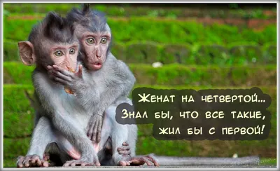 Прикольные картинки для поднятия настроения Подруге (55 фото) - ФУДИ