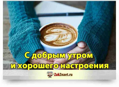 Смешные картинки для поднятия настроения (59 лучших фото)