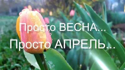 Картинки на тему #Апрель - в Шедевруме