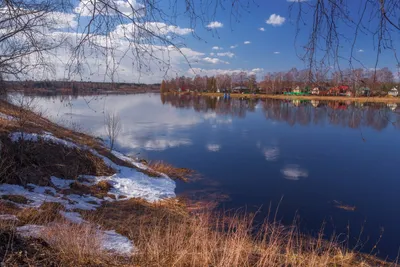 Весенний пейзаж, береза на крутом берегу реки, разлив, апрель Stock Photo |  Adobe Stock