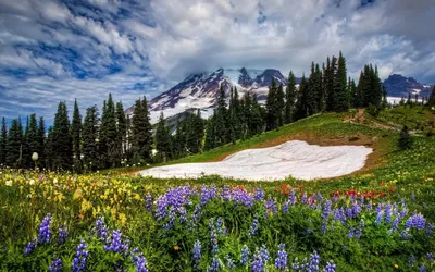 Картинки на рабочий стол природа весна красивые большие весь экран (68  фото) » Картинки и статусы про окружающий мир вокруг