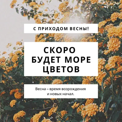 25 необычных картинок «С Первым днем весны!» – Блог Canva