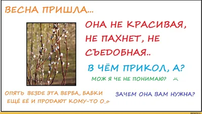 весна / смешные картинки и другие приколы: комиксы, гиф анимация, видео,  лучший интеллектуальный юмор.