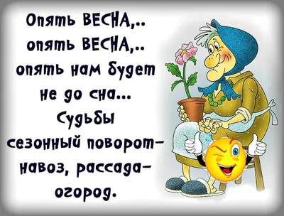 Зграя - #сова #мило #смешно #смех #юмор #птицы #снег #зима #весна | Facebook