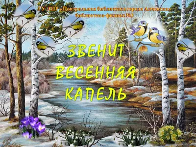 Картинка Голубь, весна, капель » Голуби » Птицы » Животные » Картинки 24 -  скачать картинки бесплатно