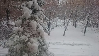 букет капель в стеклянной вазе с водой. копировать пространство для текста.  ранняя весна. Стоковое Изображение - изображение насчитывающей деталь,  свеже: 217683887