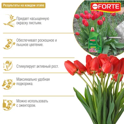 Удобрение УНИВЕРСАЛЬНОЕ весна-лето, 1,5 л - BONA FORTE