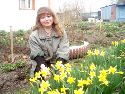Весна на даче: 55+ фото для вдохновения | Садоводство, Дача, Сад