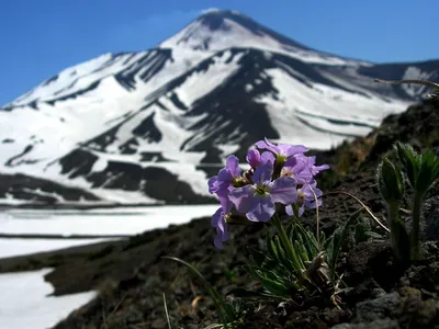 10 чудес Камчатки: самые красивые места страны медведей и вулканов. | by  Компания путешествий Навстречу | Medium