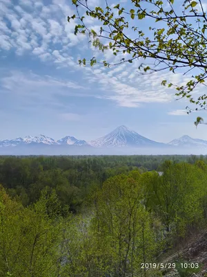 Когда лучше ехать на Камчатку: советы туристам