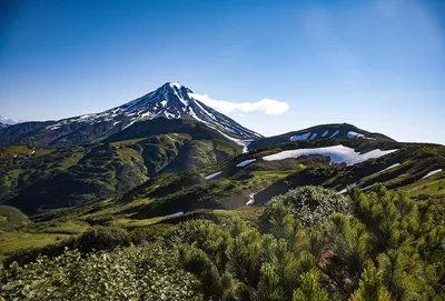 Камчатская весна в фотографиях - Страница 4 - Фотографии Камчатки, фото  Петропавловска-Камчатского - Камчатский форум \"Я люблю Камчатку – I love  Kamchatka\"