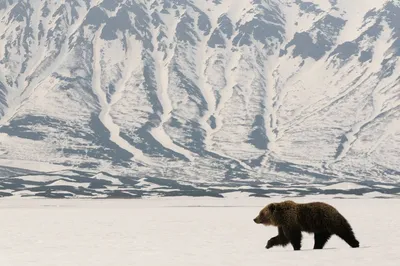 Камчатка весной | Kamchatkaland