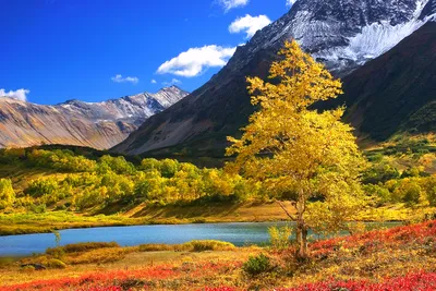 kamchatka #kamcha #volcano✨ Лыжная прогулка, 3 апреля Весна на Камчатки это  отличное время для лыжных прогулок. Лёг наст и можно смело… | Instagram