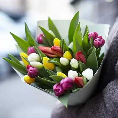 букет тюльпаны ранняя весна: 9 тыс изображений найдено в Яндекс.Картинках |  Тюльпаны, Букет из тюльпанов, Цветочные композиции