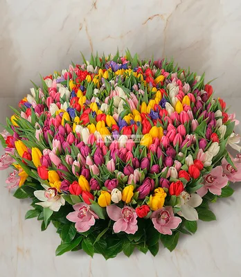 Бесплатное изображение: Цветы, красочные, огород, флора, Весна, тюльпаны,  поле