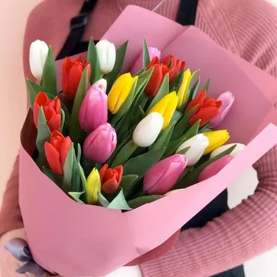 Весна белые тюльпаны (57 фото) - 57 фото