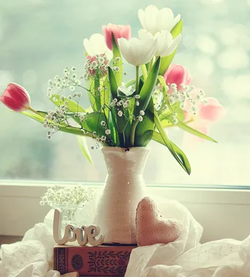 Скачать обои цветы, Весна, Тюльпаны, Фон, flowers, Spring, Background,  Tulips, раздел цветы в разрешении 1920x1080