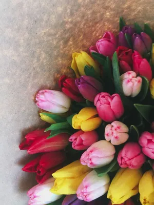 Весна пришла: большая корзина с тюльпанами разных цветов по цене 11555 ₽ -  купить в RoseMarkt с доставкой по Санкт-Петербургу