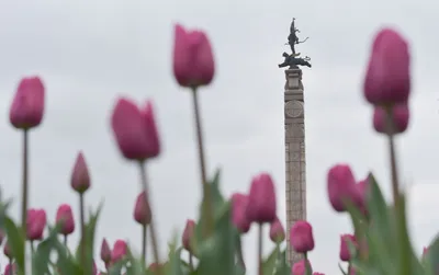 Алматы, весной ты по-особенному прекрасен ❤️ #алматы#казахстан#городкр... |  TikTok