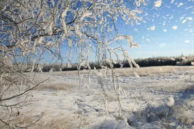 Весна в Якутии (41 фото) - 41 фото