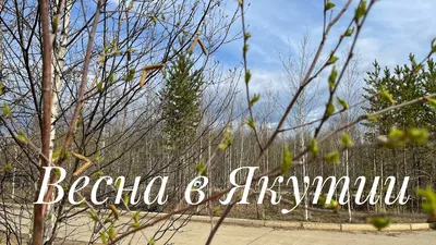 Весна в Якутии - 41 фото