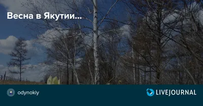 Фоторепортаж: Весна в Якутии | Государственное Собрание (Ил Тумэн)  Республики Саха (Якутия)
