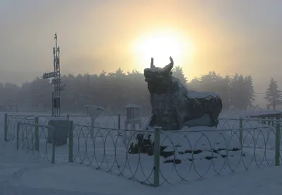 VisitYakutia on X: \"Тем временем, на Тополинском зимнике наши гости из  Москвы с якутянами, проезжавшими мимо лагерей системы ГУЛАГ. Зима  продолжается в Якутии ❄️🚗🌲🏔💎 Движение группы от Якутска в Магадан в  онлайн: