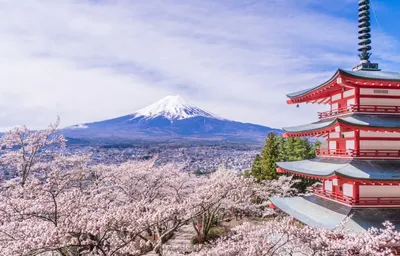 Весна Киото Японии стоковое фото. изображение насчитывающей строб -  106149520