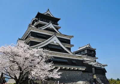 В поисках сакуры 🌸 Весенний трекинг в Японии - Pohod v Gory