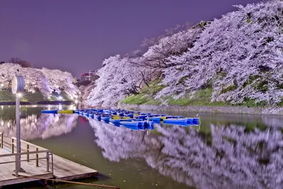 Поздняя весна в Японии - Japan Travel