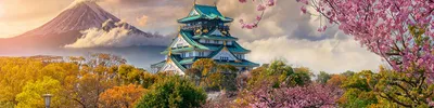 Картинки весна в японии на рабочий стол (70 фото) » Картинки и статусы про  окружающий мир вокруг