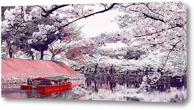 Весна в Японии - обои для рабочего стола, картинки, фото