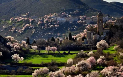 Интересности - Весна в Италии | Facebook