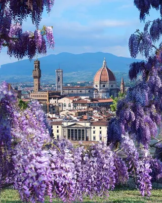 Весна начнется в Италии, отзыв от туриста alla_gorbunova на Туристер.Ру