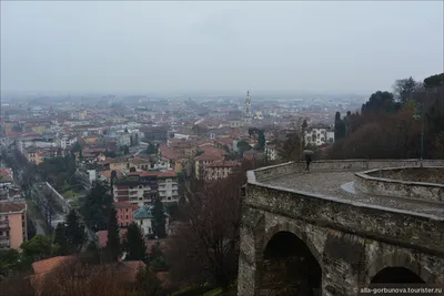 Картинки альп Италия Lombardia гора Природа весенние цветок Крокусы