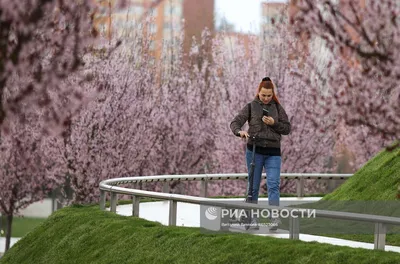 Весеннее цветение растений в Краснодаре | РИА Новости Медиабанк