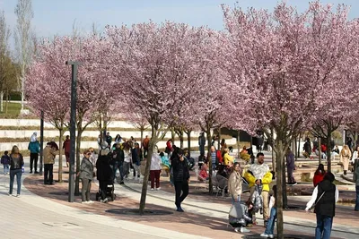 Весна на календаре💕Весна в городе💕Весна в душе и сердце…🌸 | Instagram