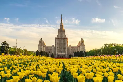 Весна в москве фото