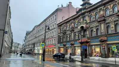 Москва Красная площадь | Москва, Весна, Тюльпаны