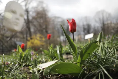 Москва весной - красивые фото