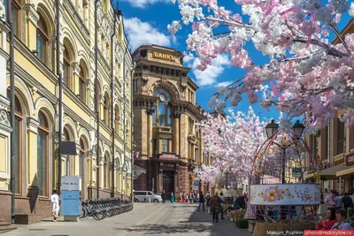 Тепло на пороге. Синоптик рассказала, когда в Москве ждать весну | Природа  | Общество | Аргументы и Факты