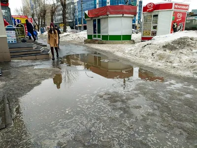 Грязная весна в Новосибирске: 10 ужасающих фото улиц и дворов города -  sib.fm